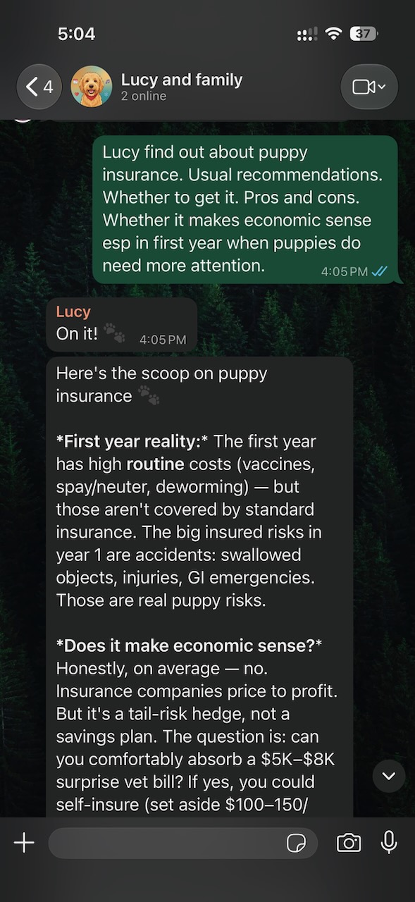 Lucy talks through the economics of puppy insurance.