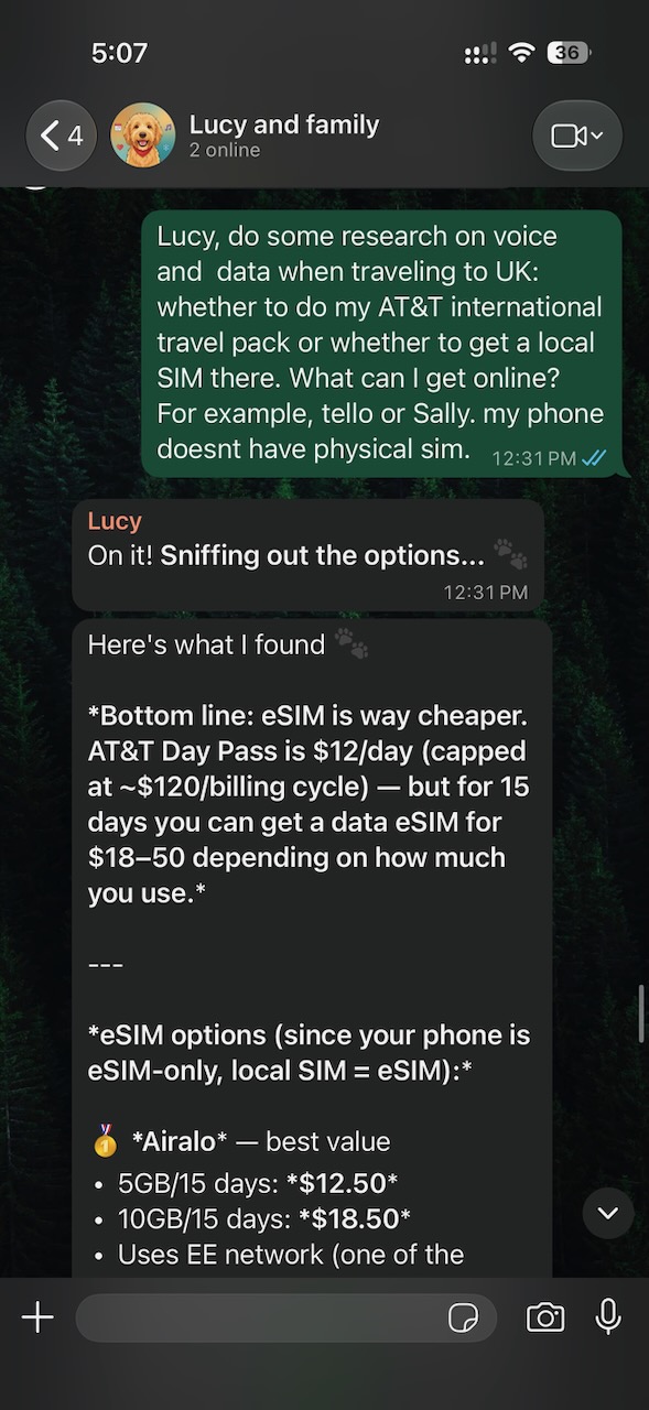 Lucy compares eSIM options against the carrier&rsquo;s international day pass.