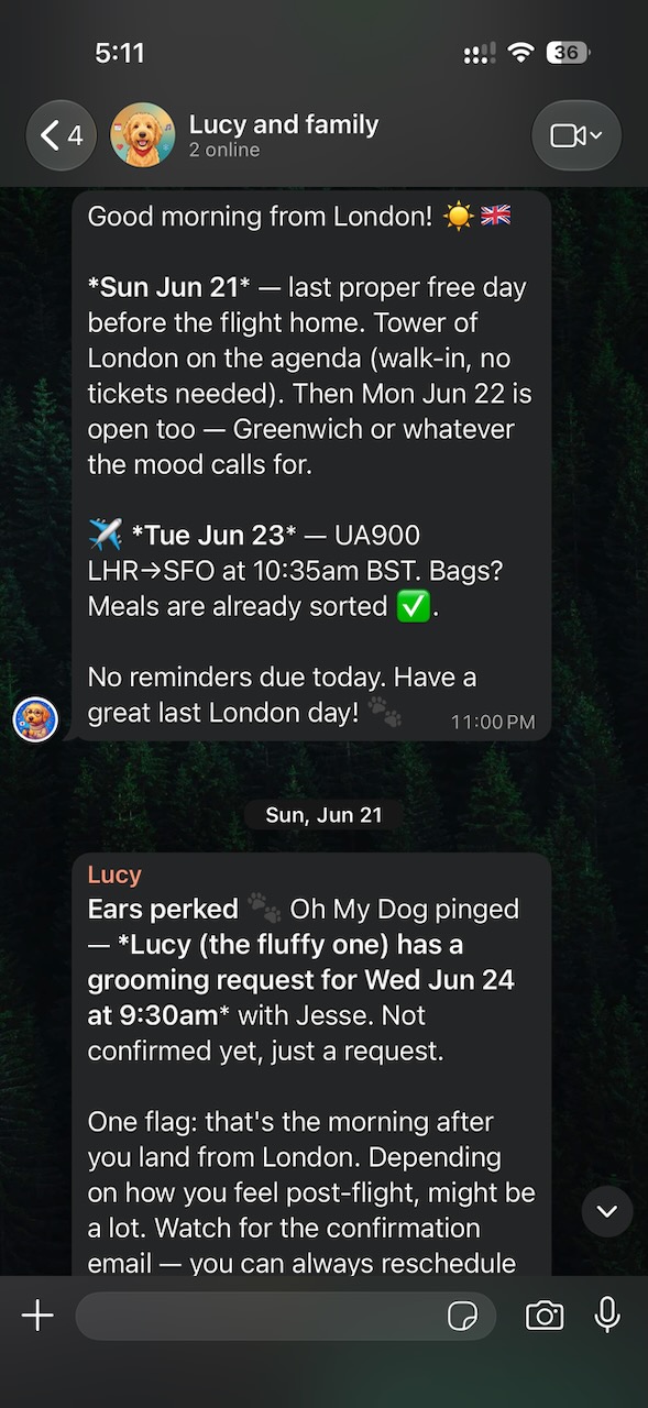 Lucy sends a London day brief and flags a pet grooming request for after landing.