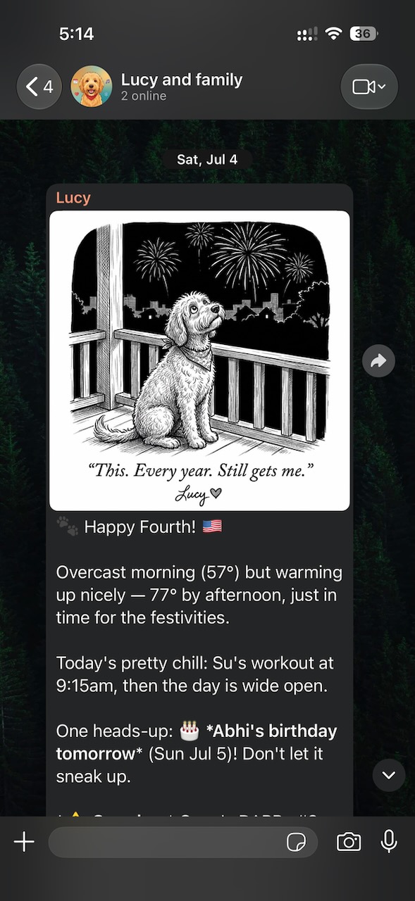 Lucy sends a Fourth of July greeting with a cartoon and the day&rsquo;s reminders.